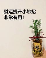 如何提升偏财运？有效方法大揭秘！