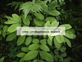 帶有這種特徵的女命，情路容易坎坷