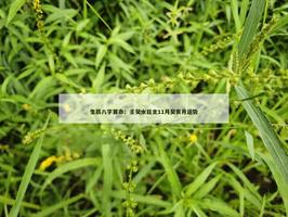 大师算命：壬癸水日主11月癸亥月运势