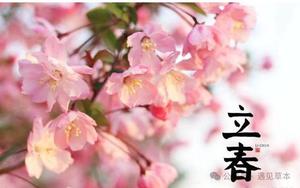 立春女生運勢佳，命運多吉星。