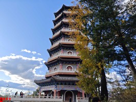 乙亥日生於子時命格解析