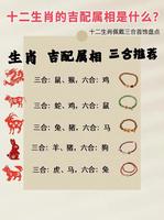 生肖龙感情运势解析：缘起缘落，爱恨交织