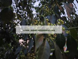 命理秘聞〡同性戀的研究與三個技法