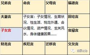 子午沖子女宮，生育路難行。