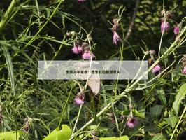 出生日临魁罡贵人