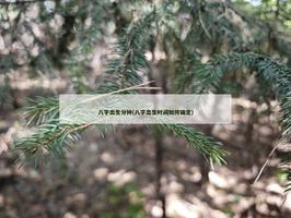 八字出生分鐘(八字出生時間如何確定)