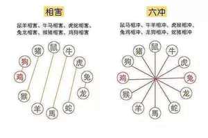 测生意六冲精准，成功案例传颂千古