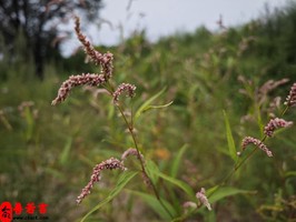 什麼時候出生的人能富貴又有錢