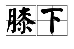 膝下空空，命運無常