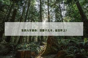 大師預測：想要個兒子，能否懷上？