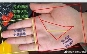 手相出眾者，無論男女，注定輝煌富貴。