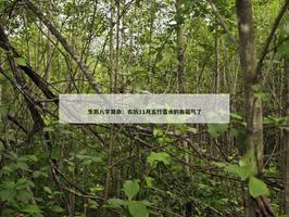 農曆11月五行喜水的有福氣了