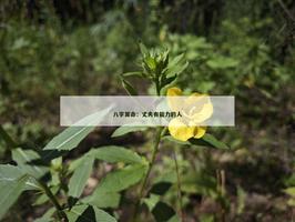 網路上算命：丈夫有能力的人