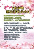 八字揭示易招爛桃花的命格