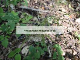 八字和太極的關係(八字帶華蓋太極的人不能惹)