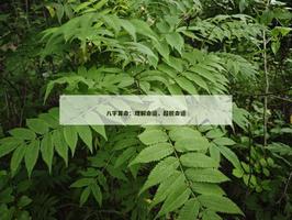 理解命运，超脱命运