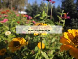 如何根據八字預測健康及解讀疾病