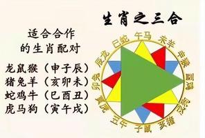 属鸡龙配情缘佳配