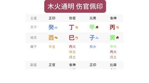 傷官配印解析範例