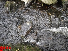 根据女人的八字看你会嫁什么样的男人