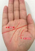 婚姻宮逢沖可調整家居風水，化解不良氣運。