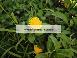 八字兩行成像(兩神成像格比一般八字格局好)