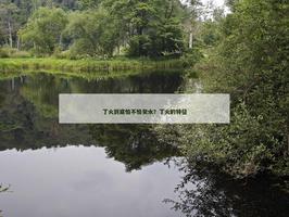 丁火到底怕不怕癸水？丁火的特徵