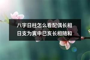 夫妻日柱相刑，巳申相刑，影響婚姻和諧。