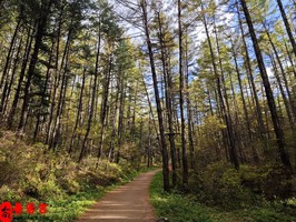 命理看你是否當老闆的料