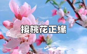 命中正緣桃花，影響人生歸宿