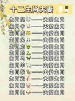 生肖情侣配对，揭秘一生相伴秘诀