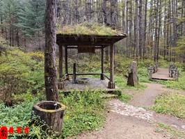 容易中大獎的八字四馬星入命偏財旺