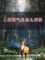 3点出生者运势详解