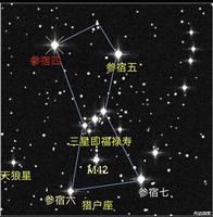 健康长寿星座大盘点