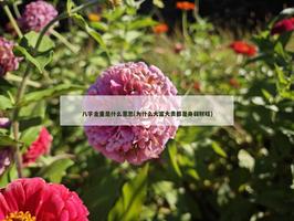 八字金重是什么意思(为什么大富大贵都是身弱财旺)