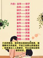 速配达人，揭秘你的心动前三！