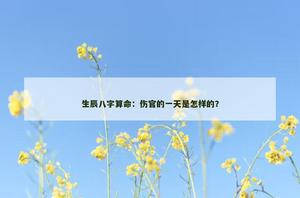 免費預測：傷官的一天是怎樣的？