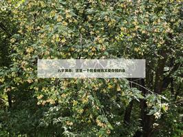 这是一个既爱赚钱又爱存钱的命