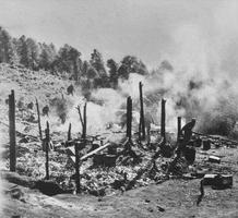 火旺制印命途多舛，先天缺陷命不長