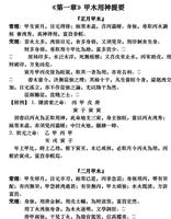 命理枕中秘，智慧藏枕边