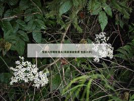 生辰八字哪些是火(周易算命免费 生辰八字)