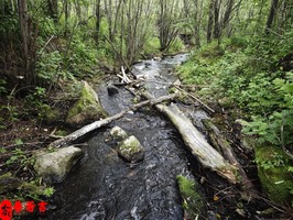 八字看哪些男人婚後難幸福