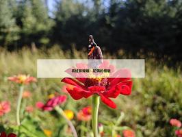 在线预测配偶的相貌