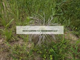 癸水為什麼喜歡欺負丁火？癸水男最怕碰到什麼女？