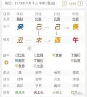 喜用神旺否適宜？