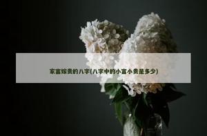家富嫁贵的八字(八字中的小富小贵是多少)