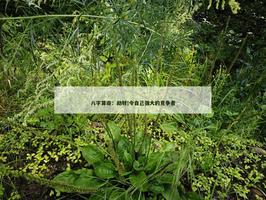 劫財|令自己強大的競爭者