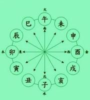 甲辰日亥月生，命运吉凶如何？