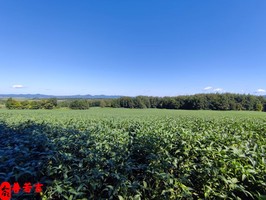 什麼八字適合炒股炒房