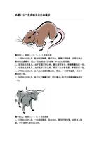 冬鼠命運佳，幾月生更妙